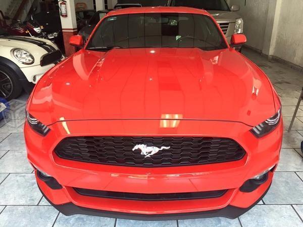 Mustang Rojo -16
