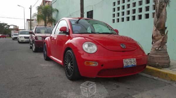 Hermoso beetle -98