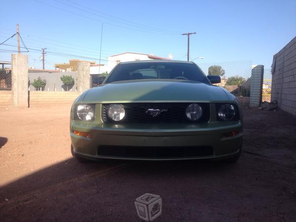 Mustang GT STD -05