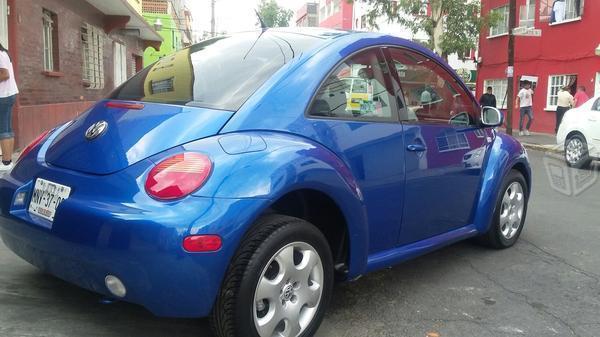 Beetle azul hermoso -02