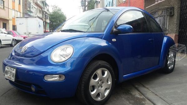 Beetle azul hermoso -02