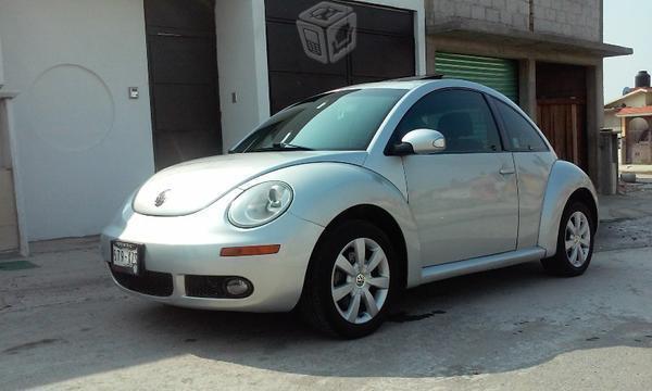 Excelente beetle -06