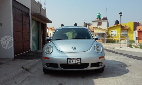 Excelente beetle -06
