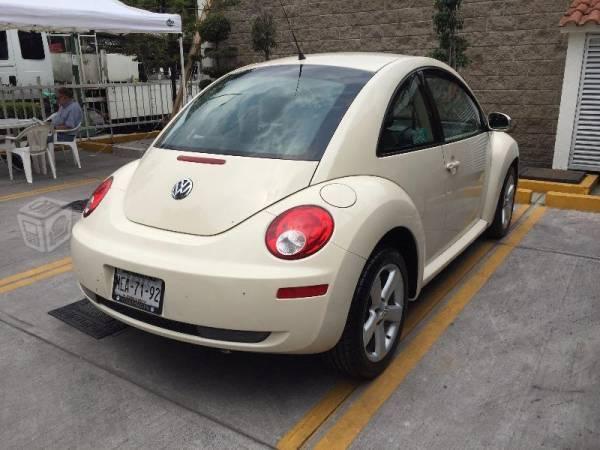 Excelente beetle -08