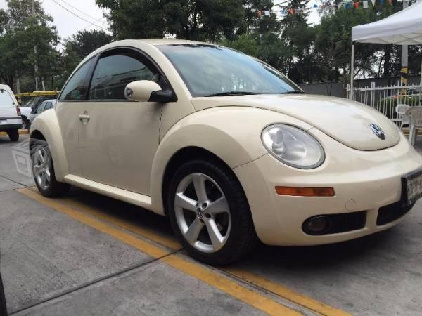 Excelente beetle -08