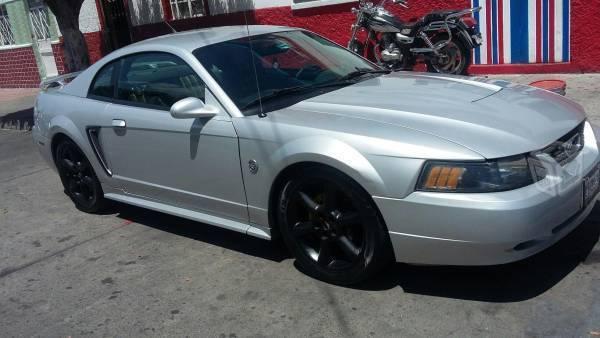 Mustang buen trato p/c -04