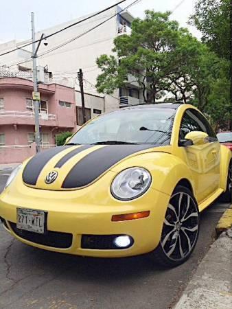 BEETLE IMPECABLE -08