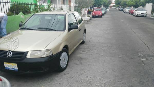 Pointer bonito -04