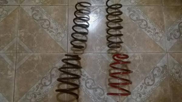 Resortes para achaparrar
