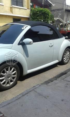 Vendo bonito beetle -05