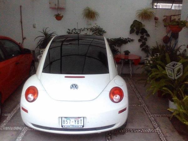 Beetle EDICION 10 -08