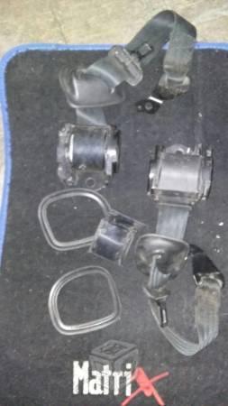 Cinturones de seguridad para pointer
