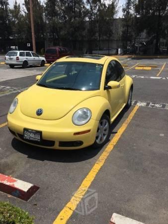 Auto beetle -11