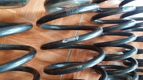 Resortes Eibach Prokit Vw MK4 Beetle Clasico