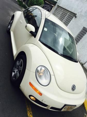 Beetle -07