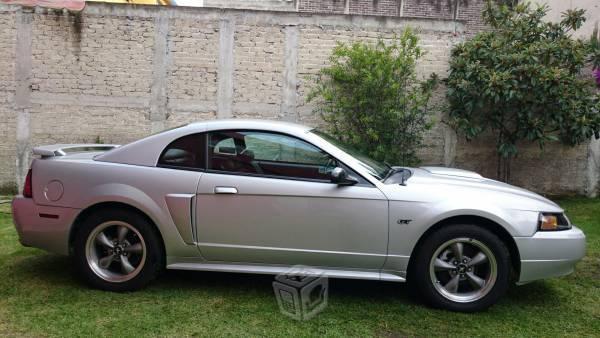Mustang VIP -02